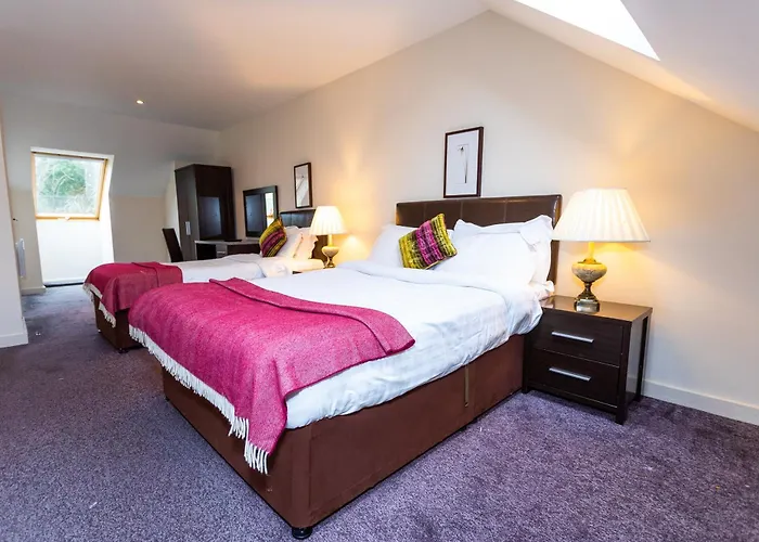 Avenue 10 Semesterbostad Cill Airne